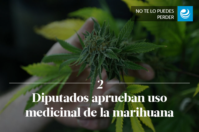 Diputados aprueban uso medicinal de la marihuana